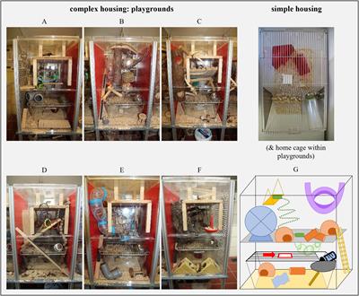 Personality matters – The interplay between consistent individual differences and mouse welfare in female C57BL6/J mice